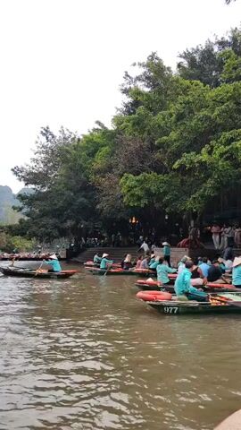The video shows several small boats carrying people on a river or canal. Many of the boaters are wearing traditional conical hats and light blue shirts. Each boat appears to be rowed by one person. The boats are gathered near the shore, where there are more people walking around under the shade of large, green trees. The area seems to be a popular tourist spot. The boats are numbered, for example, "977". The water is calm but slightly rippled. The sky is overcast.