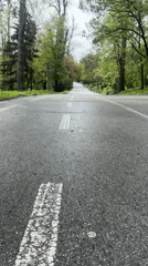 Spring nature walk documented through Plovdiv's trails and roads