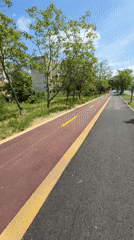 Skateboarder spotted on paved path in Plovdiv, Bulgaria