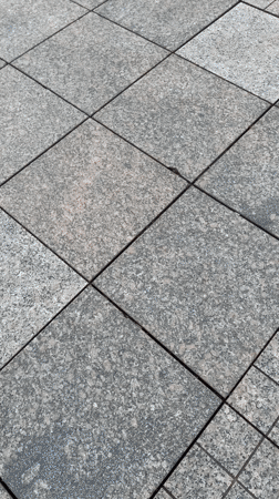 Tourist captures historic Ulm landmarks during afternoon walking tour