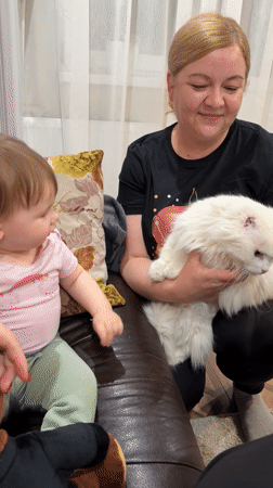 Family gathering and daily moments documented in Krapivka home