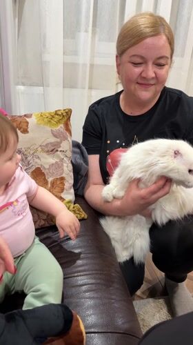 Family gathering and daily moments documented in Krapivka home