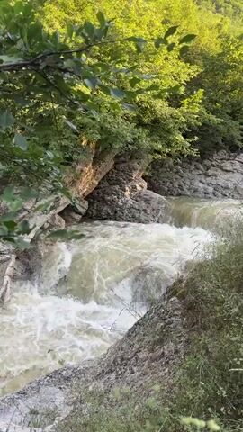 A video of a river flowing over rocks. The river is brown and turbulent, with white foam on the surface. The riverbanks are lined with trees and rocks. The sun is shining through the trees, creating dappled light on the water.
