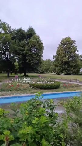 This video captures a serene park scene in Toruń, Poland. The camera pans to the left, revealing a lush green park with a bright blue, rectangular water feature in the foreground, likely a decorative canal or reflecting pool. Beyond the water, a circular flower bed bursts with colorful blooms of pink and white, attracting attention amidst the verdant landscape. A solitary bench sits at the edge of the flower bed, inviting rest and contemplation.

Dominating the background is a grand, stone building with an ornate, stepped gable and prominent towers on either side. The architecture suggests historical significance, possibly a museum or public institution. A small statue or figure is perched atop the building's peak, adding a touch of character. Various trees with full green canopies dot the landscape, softening the imposing structure of the building. The sky is overcast, indicating a cloudy day, and the overall atmosphere is tranquil and peaceful. A few people are visible in the distance, casually strolling through the park, their presence adding a sense of life to the otherwise quiet setting. The time of day appears to be daytime, given the ambient light. There is no visible text in the video.