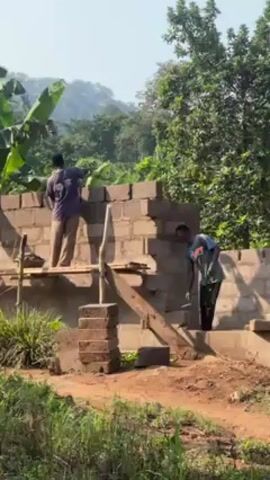 Two men are building a wall made of cinder blocks. The man on the left is standing on a makeshift platform of planks propped up on blocks, laying cinder blocks on top of the existing wall. He is wearing a dark t-shirt and light brown pants. The man on the right is standing on the ground next to a section of the wall that is already complete. He is wearing a blue t-shirt and dark pants. There is a stack of cinder blocks next to the platform. The wall is being built in a lush, green environment with trees and vegetation in the background. The sky is clear and sunny.