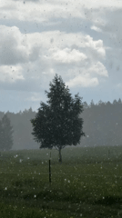 Rural morning scenes captured in Russian village Старое Шигалеево