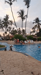 Resort pool activity captured with families swimming