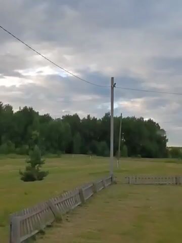 This video captures a tranquil outdoor scene with a focus on a grassy field bordered by a wooden fence. The field appears to be recently mown, with hay scattered in some areas. In the distance, a dense line of trees forms a natural backdrop, suggesting a rural or park-like setting. A small, solitary evergreen tree stands in the middle of the field, adding a touch of visual interest. The sky above is overcast with dramatic clouds, hinting at impending rain or a stormy weather pattern. The lighting suggests it is either early morning or late afternoon. The overall mood is one of quietude and natural beauty, with a hint of wilderness. There is no visible text in the video.