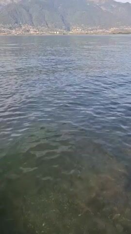 The video shows a calm lake with clear water. The camera is positioned near the shore, looking out over the water. The shore is made up of pebbles and rocks. In the background, there are trees and hills. The sun is shining, casting a soft light on the scene. There is no sound in the video.
