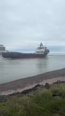The video shows a large, blue and white ship moving on the water near a rocky shore. The ship is moving to the right of the frame, and there is a building visible in the distance on the left. The sky is overcast and gray. There is green foliage in the foreground along the shore. A single seagull is floating in the water near the shoreline.
