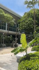 Bronze animal fountain operates in sunny Aventura courtyard