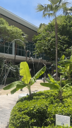 Bronze animal fountain operates in sunny Aventura courtyard