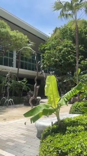 Bronze animal fountain operates in sunny Aventura courtyard