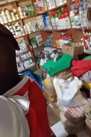 The video shows a person in the foreground, wearing a white shirt with red trim, from the shoulders up. The person is looking towards the right side of the frame. The background is a shop or store, filled with shelves stocked with various products. These products appear to be agricultural supplies, such as fertilizers, pesticides, and animal feed, based on the packaging and labels visible. There are many bottles, bags, and boxes.

In the middle ground, a small black and white kitten is perched on a bright green surface, which seems to be a piece of fabric or plastic sheeting. The kitten is looking towards the right. To the right of the kitten, there are bags of what appear to be animal feed, some stacked on top of each other. One of these bags has visible text that reads "PUCO Fast Gro Starter Crumbs" with an image of a chick. There are also some cardboard boxes and other items on the floor.

The shelves in the background are packed with rows of products. Some labels are visible, showing brand names and descriptions, but they are too small to read clearly. The overall impression is that of a well-stocked agricultural supply store. The lighting suggests it is daytime. The setting is indoors, likely in Lumakanda ward, Kenya, as per the context provided. There are no obvious indications of weather or specific time of day beyond daylight. The emotion conveyed is neutral, as the focus is on the environment and the kitten.