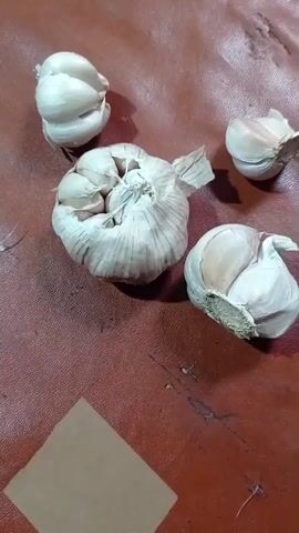The video shows a close-up, top-down view of four heads of garlic arranged on a brown, textured surface. The garlic heads are all white with some having papery brown outer layers. One head of garlic, in the center of the frame, is partially broken open, revealing individual cloves. The other three heads are intact. A small, tan, square object is visible in the bottom left corner of the frame. The lighting is somewhat dim, creating shadows around the garlic.