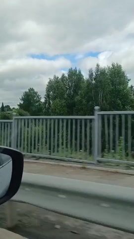 The video captures a view from a moving vehicle, likely a car, looking out the passenger side window. The scene is outdoors on a cloudy day, with patches of blue sky visible. In the foreground, the side mirror of the car is partially visible, along with a grey metal guardrail. Beyond the guardrail, there is a metal fence with vertical bars, separating the road from a grassy area. Behind the fence, there are various trees, some tall and green, others with lighter foliage. In the distance, some structures or buildings can be seen amongst the trees, and in the far background, a power line or telephone pole is visible. The camera is in motion, creating a sense of travel.