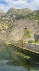 Tourist captures canal views, wildlife, cruise ship in Kotor
