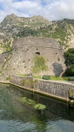 Tourist captures canal views, wildlife, cruise ship in Kotor