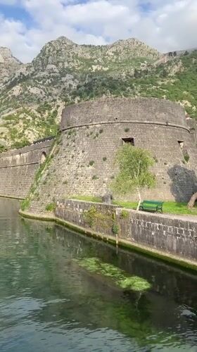 Tourist captures canal views, wildlife, cruise ship in Kotor