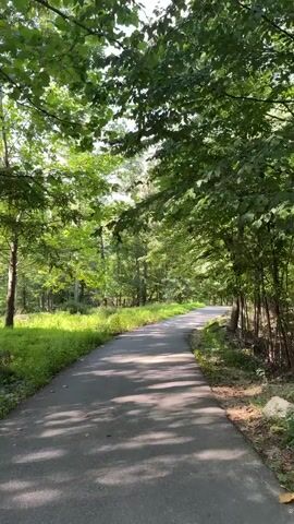 This is a first-person perspective video walking down a paved path through a wooded area. The path is asphalt and appears to be a walkway or a private road. Lush green trees with dense foliage line both sides of the path, casting dappled shadows on the ground. Sunlight filters through the leaves, creating a bright and natural atmosphere. The ground beside the path is covered in grass and undergrowth. The video focuses on the movement along the path, giving a sense of journey or exploration through the natural setting. There are no people or animals visible in the video. The environment suggests a serene and quiet outdoor location, possibly a park, trail, or a residential area with extensive landscaping.