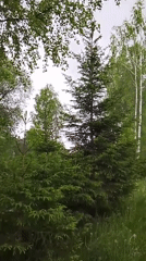 Rural Russia landscapes captured during mixed weather conditions