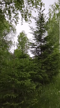 Rural Russia landscapes captured during mixed weather conditions