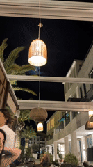 Evening dinner at Montenegro restaurant with dog companion