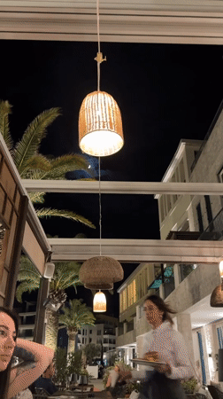 Evening dinner at Montenegro restaurant with dog companion
