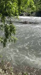 Summer morning in Yelizovo: rivers, wildlife, and local life