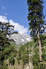 Mountain scenery documented in Burwa, India shows peaks and forests