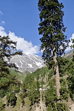 Mountain scenery documented in Burwa, India shows peaks and forests
