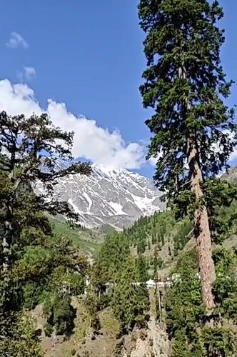 Mountain scenery documented in Burwa, India shows peaks and forests