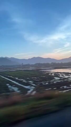 The video shows a wide shot of a rural landscape with mountains in the background. The sky is a clear blue with some wispy clouds. In the foreground, there are flooded rice fields, with rows of green plants visible. The camera is moving, creating a blurred effect on the foreground and midground, giving the impression of travel. The light suggests it is either dawn or dusk. There are no people or specific objects identifiable.