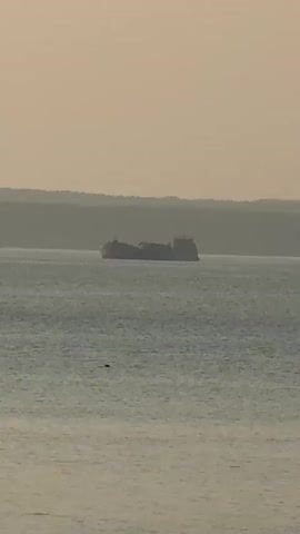 The video shows a wide shot of a large body of water, likely a bay or ocean, under a hazy, pale sky. In the distance, silhouetted against the horizon, several ships are visible. One large cargo ship is the most prominent in the early frames. As the video progresses, the camera slowly zooms out and pans to the right. In the later frames, the scene shifts to a closer view of a shoreline. Two people, appearing to be a woman and a child, are standing in the shallow water near the beach. The environment is serene and the light suggests either early morning or late afternoon.
