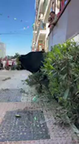 This video captures a daytime bull run (encierro) taking place on a narrow street in what appears to be a Spanish town, consistent with the provided context of Vejer de la Frontera.

The central subject is a large, black bull, initially seen partially obscured behind a dense green bush on the right side of the paved street. The street is lined with multi-story white buildings, many featuring balconies from which numerous spectators are observing the event. Colorful pennants or bunting are strung festively across the street overhead, suggesting a local festival.

As the video progresses, a person in dark clothing runs into the frame from the left, moving swiftly past the bull's position. The bull then emerges fully from behind the bush and moves further into the street, following the general direction of the runners. More people are visible further down the street, some running, others observing from a distance. Debris, possibly leaves or small branches, is scattered on the pavement.

The weather is clear and sunny, indicated by the bright blue sky and well-defined shadows. The atmosphere appears lively and charged with excitement and anticipation from both participants and onlookers. No visible text appears in the video.