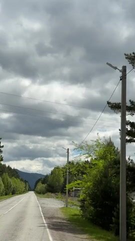 The video depicts a straight, paved road flanked by trees and a building on one side. Snowy mountains are visible in the distance beneath a cloudy, overcast sky. The camera appears to be moving along the road, judging from the changing position of the trees and the building. Crackling sounds are audible, possibly emanating from the camera or the environment.