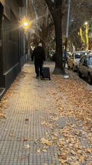 Man with cart, illness message captured in Buenos Aires