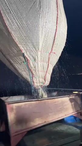A large fishing net is being lifted from the water onto a boat at night. Water is dripping from the net, and it appears to be full of fish. The net is being lowered into a large metal container on the boat. The boat is dark, and the only light comes from the boat itself.