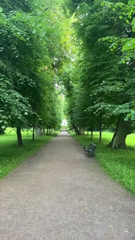 A person walks along a gravel path lined with trees that create a canopy overhead. The path leads to a white building with a white door and windows. There are benches on either side of the path, and grass covers the ground between the path and the trees.