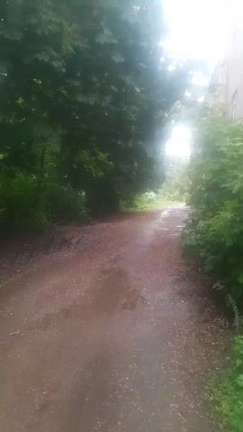 The video displays an outdoor scene featuring a damp, unpaved dirt path or road flanked by dense green trees on both sides. The ground is wet, suggesting recent rain. Bright, diffused light is visible at the far end of the path, causing a lens flare effect. A light-colored building is partially discernible through the trees on the right side. The camera performs a slow, shaky pan from a forward-facing view slightly to the left, then back to the right, showing the treeline and the path. No individuals or specific objects are present.