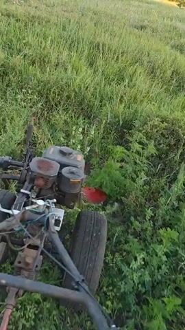A homemade go-kart-like vehicle with a gas engine is being operated in a field of tall grass. The vehicle has a simple frame with two tires visible. The engine is mounted on the frame, and there are handlebars for steering. The vehicle is moving forward, and the tall grass is being pushed aside by its passage. The camera appears to be mounted on the vehicle, looking forward and slightly down. The lighting suggests it is daytime, possibly late afternoon due to the warm tones in the grass.