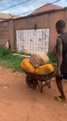 Man transports plastic containers by wheelbarrow in Nigerian village