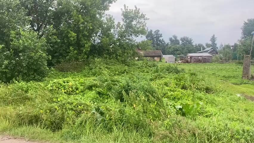A wide shot of a rural setting with a small wooden building on the right. A flock of birds, possibly ducks and chickens, are gathered in front of the building, some appearing to be within a fenced-off area. The ground is wet and muddy with several puddles, suggesting recent rain. Lush green vegetation and trees are visible throughout the scene, with more buildings and trees in the background. The sky is overcast.