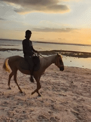 Horseback rider enjoys sunset beach ride in Indonesia