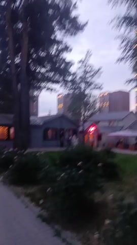A video shows a short walk past a small, light-colored building with a gray roof, possibly a cafe or restaurant, with large windows that are lit from within. There are people visible inside and outside the building. In front of the building is a path and a garden area with bushes and flowers. Tall trees are in the foreground, and taller buildings can be seen in the background. The sky is overcast and the lighting suggests it is either early morning or late evening.