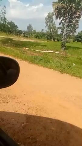The video shows a first-person perspective from inside a vehicle, looking out the passenger side window. The vehicle appears to be moving along a dirt road. The road is tan-colored and dusty. On the left side of the road, there is a side mirror of the vehicle. Beyond the road, there are green trees, bushes, and dry brush. In the background, there are fields and a cloudy sky. There are also some wooden poles with wires, likely utility poles. The scene suggests a rural or undeveloped area.