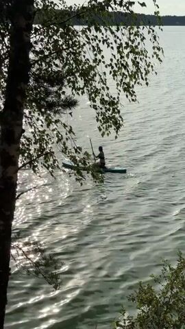 A person is paddleboarding on a body of water. The person is sitting on the paddleboard and holding a paddle. The water is calm and reflects the sunlight. Trees with green leaves are visible in the foreground, framing the scene. The video is shot from a slightly elevated perspective, looking down at the paddleboarder. The lighting suggests it is daytime, likely afternoon or evening due to the angle of the sun.