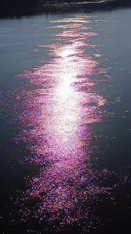 The video shows a body of water, likely a lake or river, with sunlight reflecting off its surface. The reflections create a shimmering, sparkling effect with a mix of white and pink hues. The water appears dark, and the far bank is visible as a shadowy, indistinct line. The overall impression is one of natural beauty and tranquility.