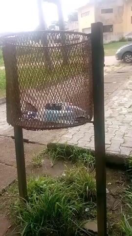 The video shows a close-up view of a rusty metal trash can supported by two metal posts. The trash can is partially filled with various items, including plastic bottles. Surrounding the trash can is overgrown green grass and dirt. In the background, a paved walkway and a building with a car parked nearby are visible. The lighting suggests it is daytime, possibly overcast.