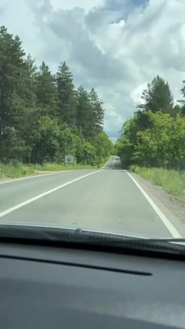 The video, filmed from inside a moving vehicle, shows a road extending straight into the distance, flanked on both sides by a dense forest of vibrant green trees. The road has two white lines, one solid and one dashed, indicating the shoulder and the center line, respectively. Shadows of trees are visible on the road surface, moving across the frame as the vehicle progresses. The sky is partially cloudy, with patches of blue visible between white clouds. A road sign, mostly obscured by trees, can be seen on the left side of the road. No other vehicles or people are visible.